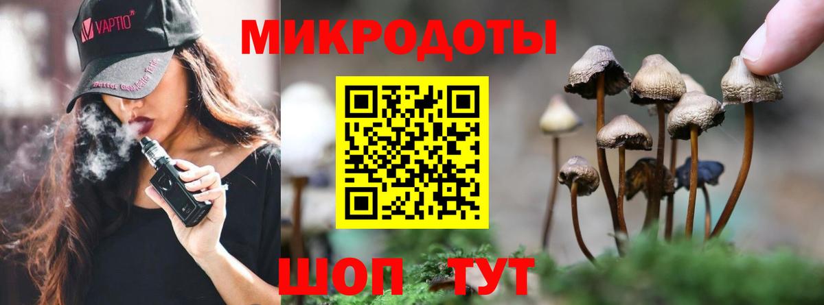 Псилоцибиновые грибы GOLDEN TEACHER Калач-на-Дону